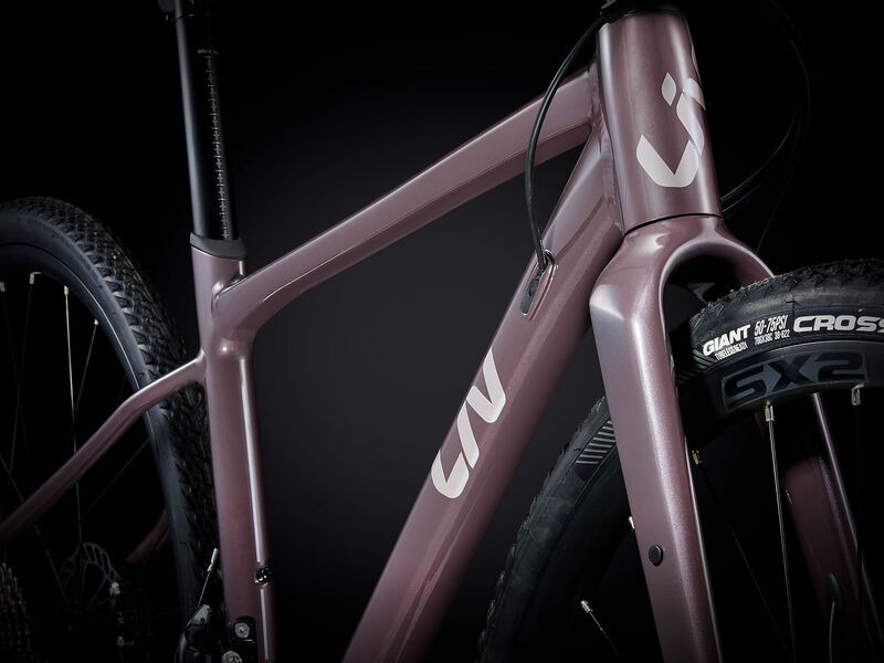 Giant liv gravel bike hot sale